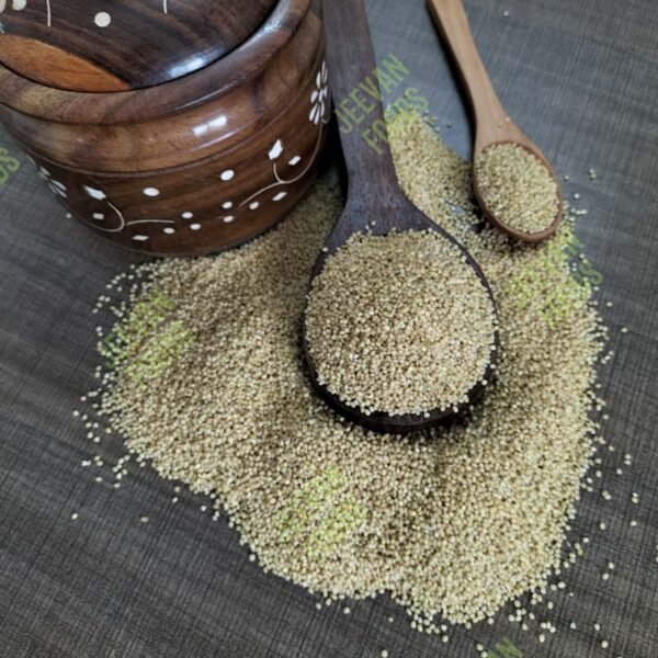 Foxtail millet